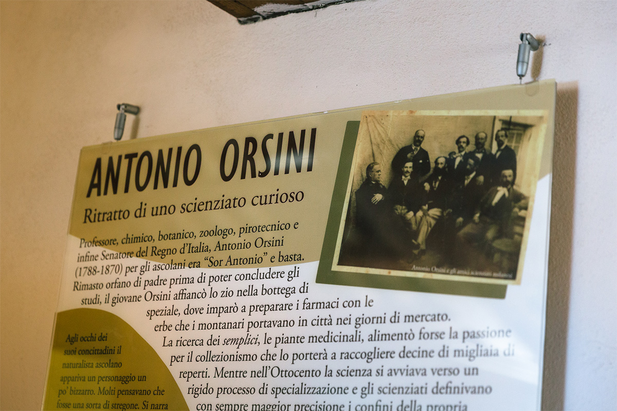 Visitare Ascoli Piceno in modo inedito: gli itinerari orsiniani